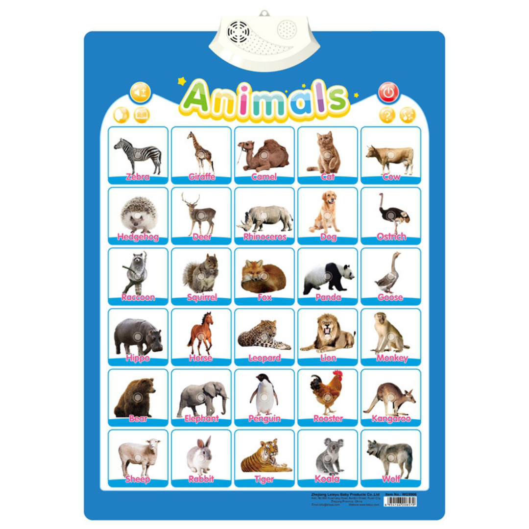 TalkBoard - Englisch Lernspiel für Kinder – Interaktiv & Spaßig
