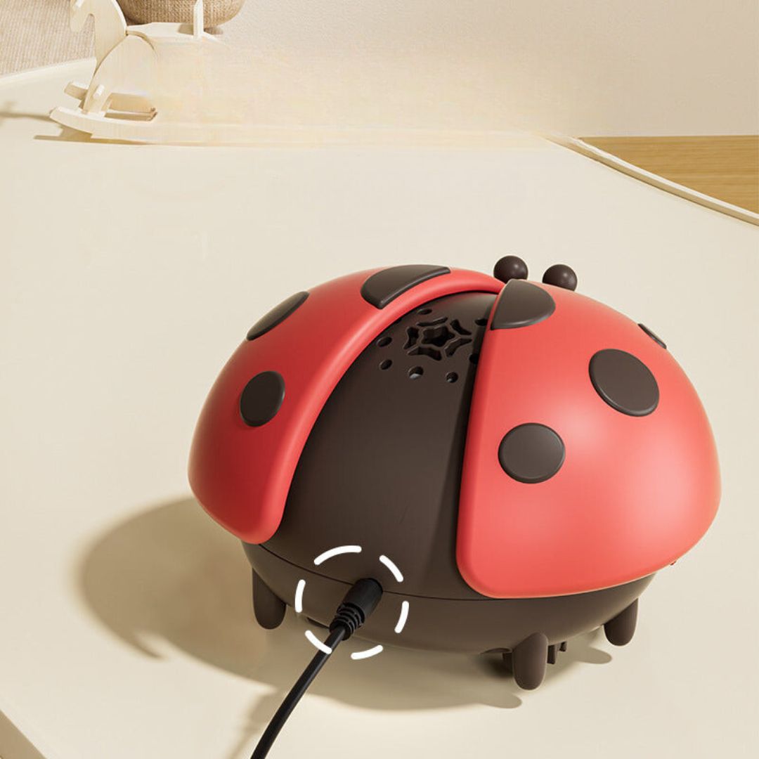 LadyFloat – Schwebender Marienkäfer Ballon für Babys
