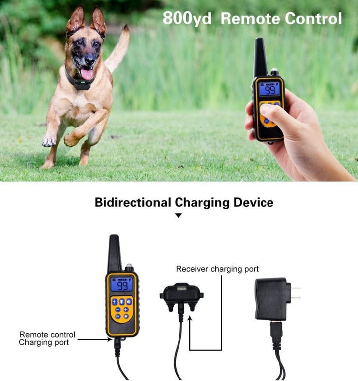 Erziehungshalsband Hund – Wasserdicht & Flexibel – Für Effektives Training 6