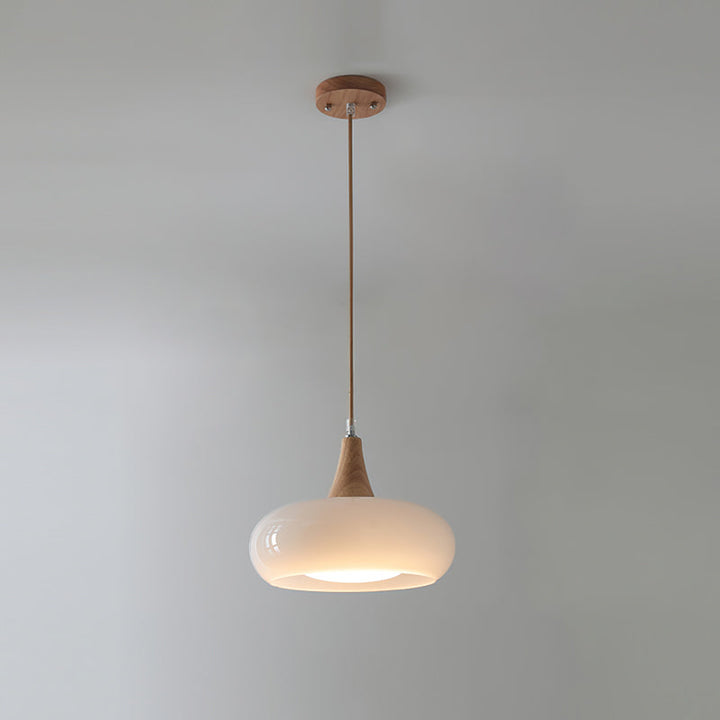 Retro Persimmon Pendelleuchte