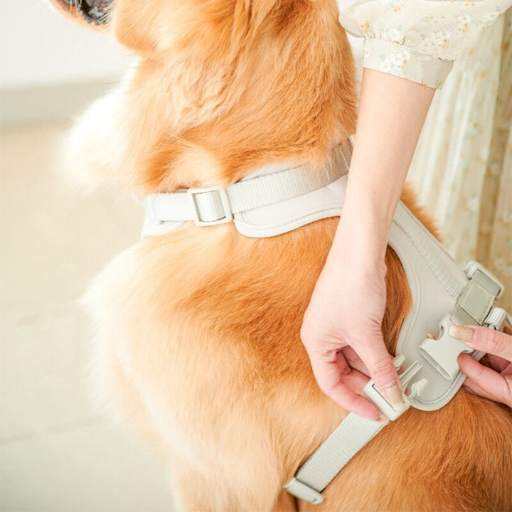 Hundegeschirr – Gepolstert & Sicher – Verstellbar für Alle Hunderassen 1