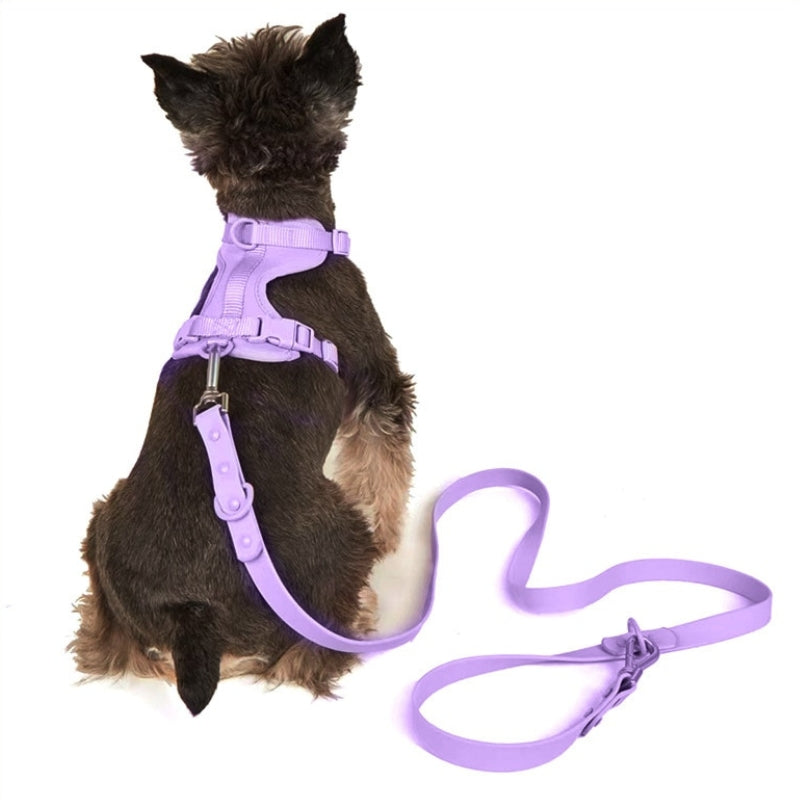 Hundegeschirr – Gepolstert & Sicher – Verstellbar für Alle Hunderassen 3