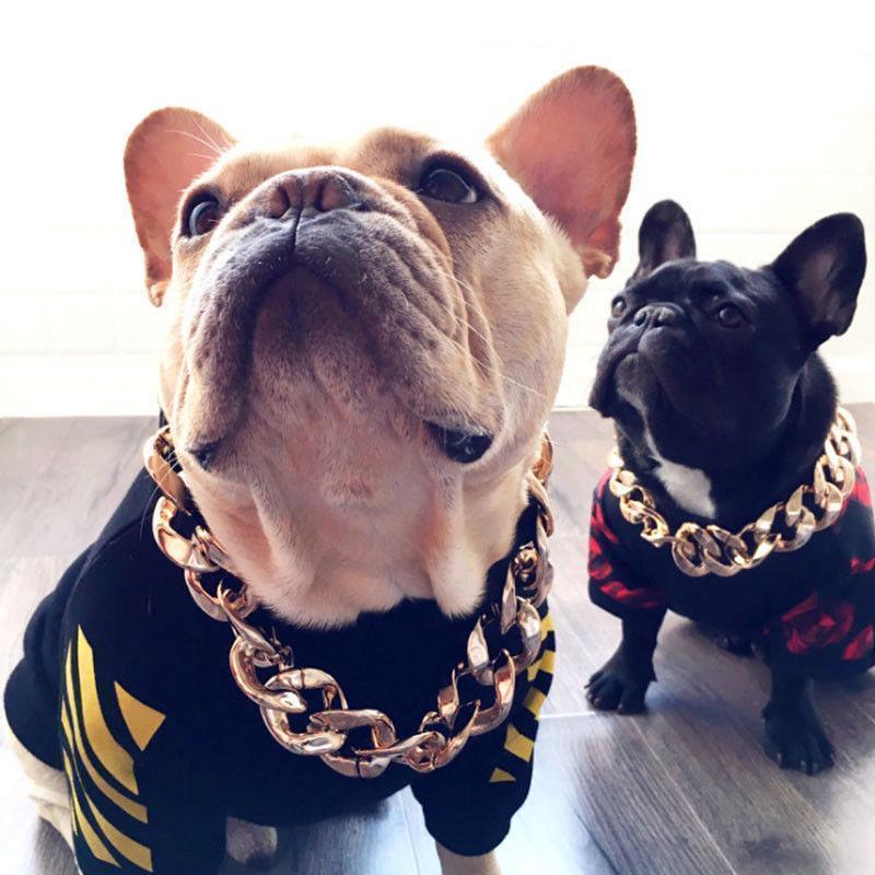 Hundehalsband – Robuste Goldkette – Stilvolles Design für Aktive Hunde 1