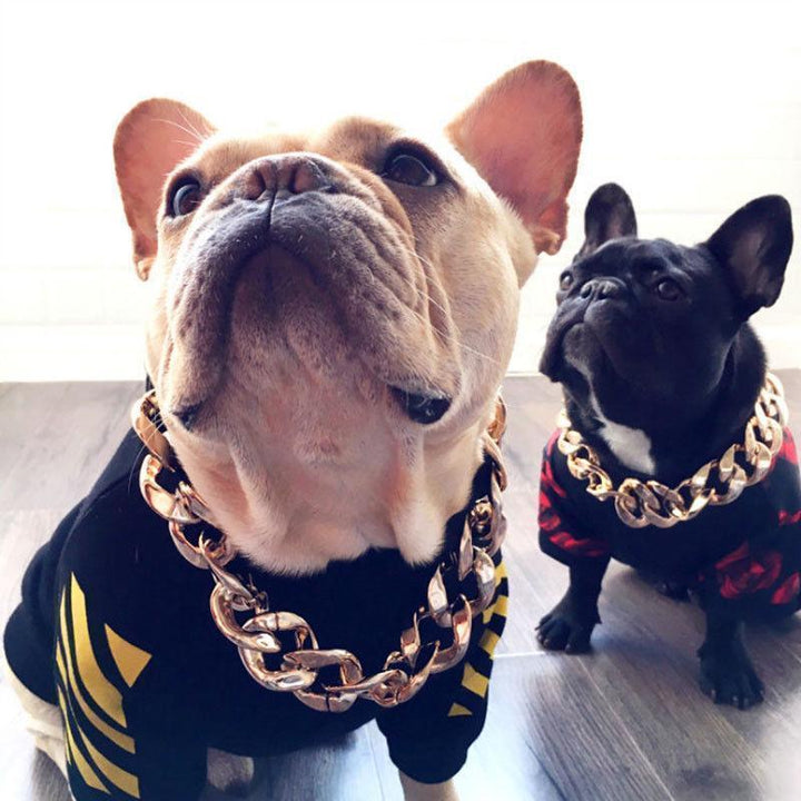 Hundehalsband – Robuste Goldkette – Stilvolles Design für Aktive Hunde 1