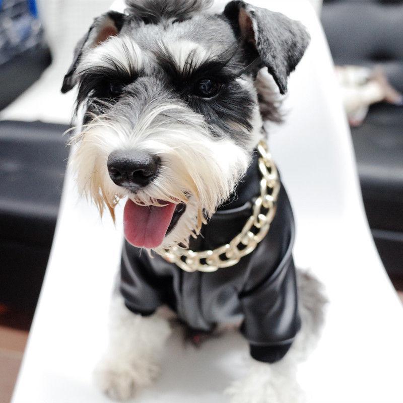 Hundehalsband – Robuste Goldkette – Stilvolles Design für Aktive Hunde 3