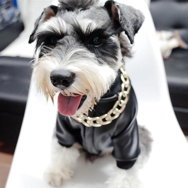 Hundehalsband – Robuste Goldkette – Stilvolles Design für Aktive Hunde 3