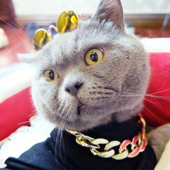 Hundehalsband – Robuste Goldkette – Stilvolles Design für Aktive Hunde 4