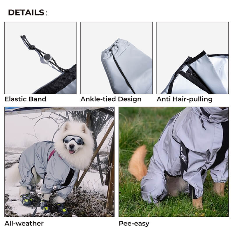 Hunderegenmantel – Wasserdicht & Reflektierend – Hohe Sichtbarkeit für Deinen Hund 4