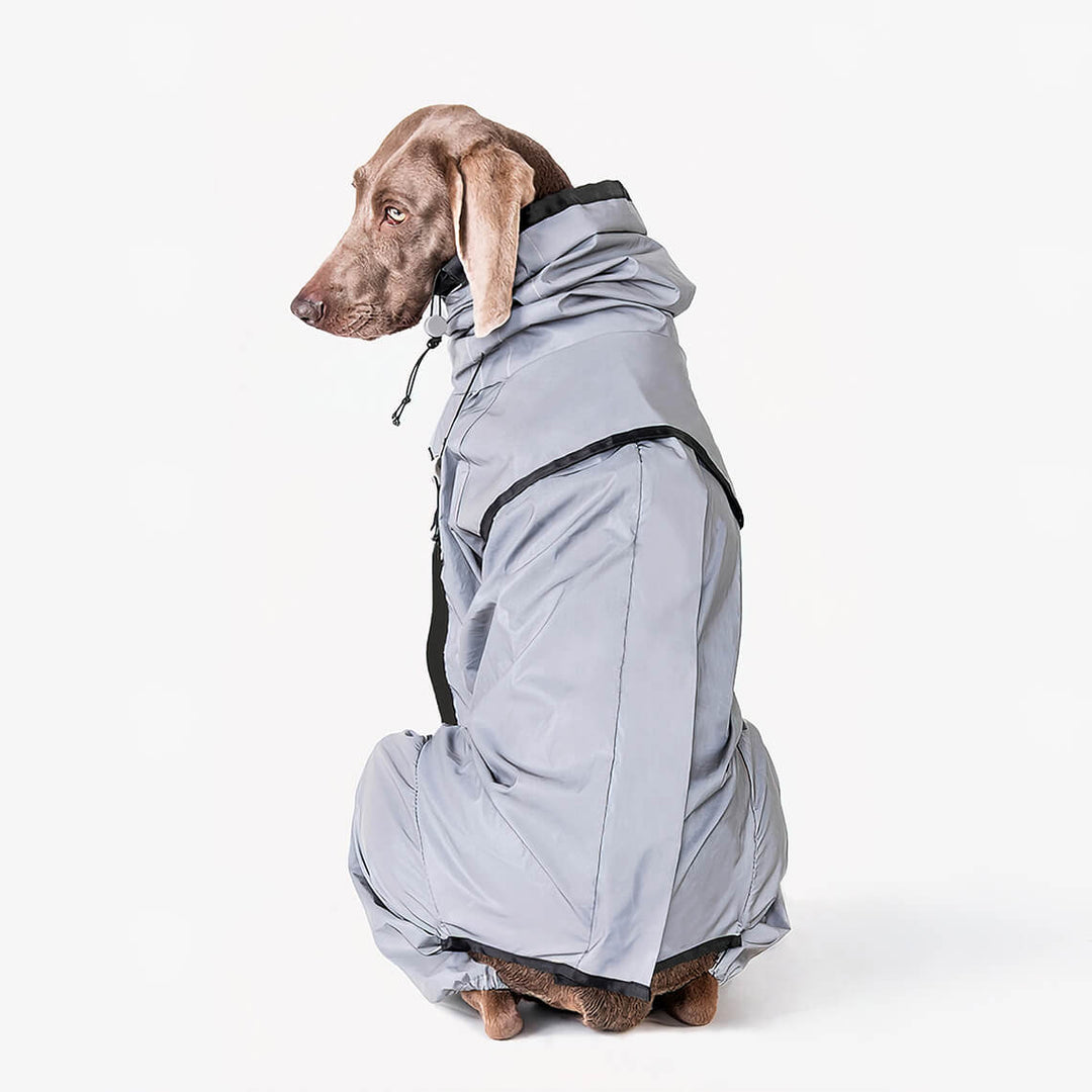 Hunderegenmantel – Wasserdicht & Reflektierend – Hohe Sichtbarkeit für Deinen Hund 7