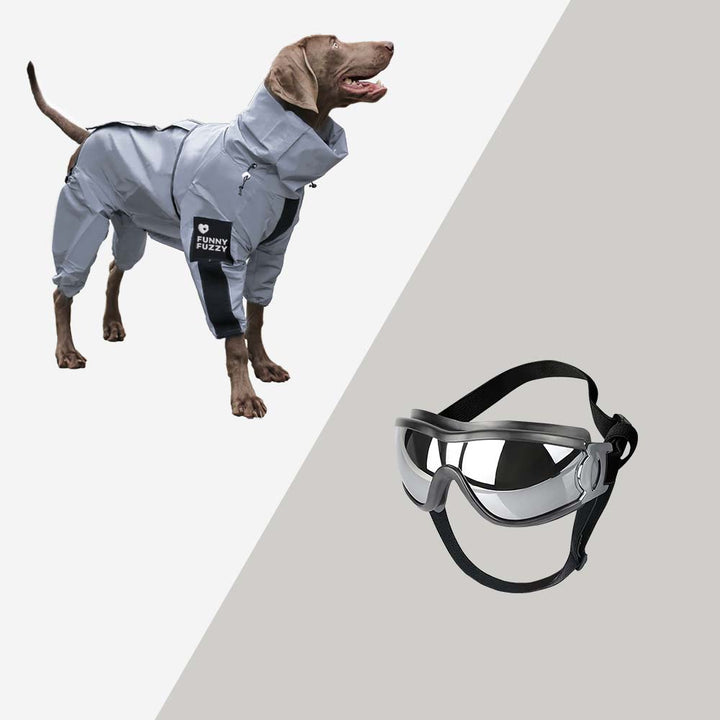 Hunderegenmantel – Wasserdicht & Reflektierend – Hohe Sichtbarkeit für Deinen Hund 9