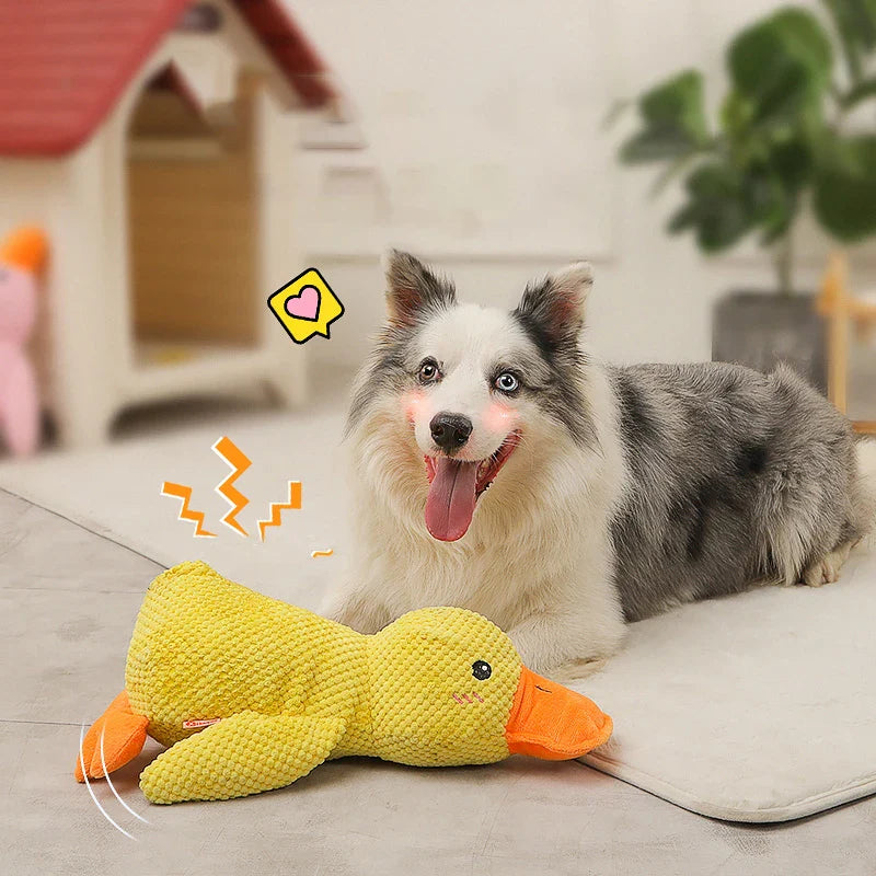 Hundespielzeug – Beruhigende Ente für Hunde – Reduziert Angst & Fördert Aktives Spielen 6
