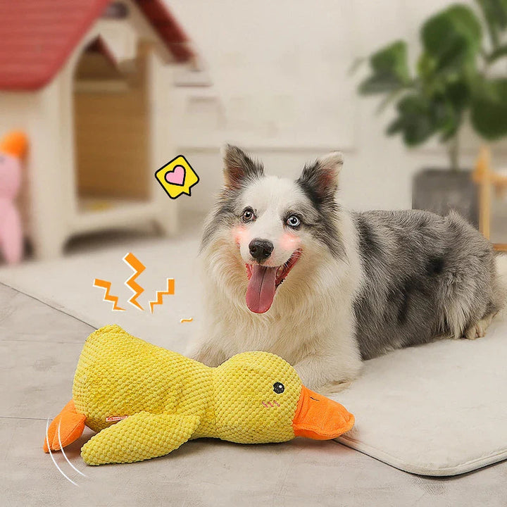 Hundespielzeug – Beruhigende Ente für Hunde – Reduziert Angst & Fördert Aktives Spielen 6