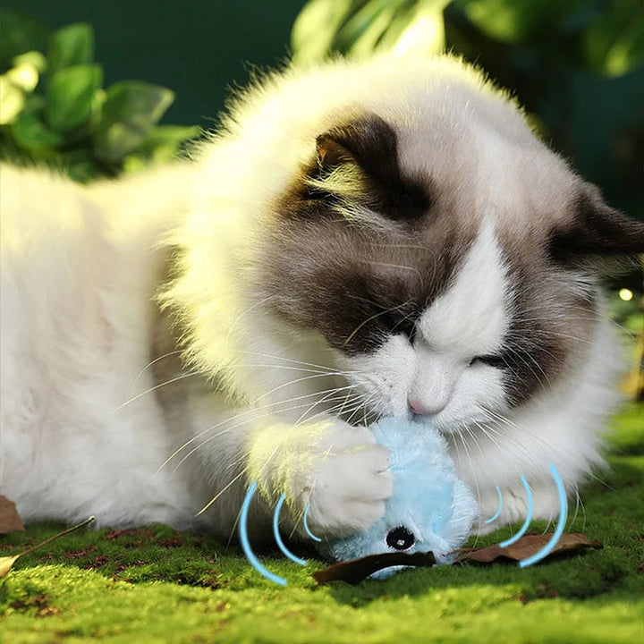 Interaktives Katzenspielzeug – Plüschball mit Geräuschen – Fördert Bewegung & Spielspaß für aktive Katzen 2