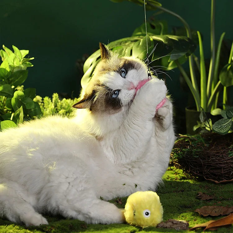 Interaktives Katzenspielzeug – Plüschball mit Geräuschen – Fördert Bewegung & Spielspaß für aktive Katzen 3