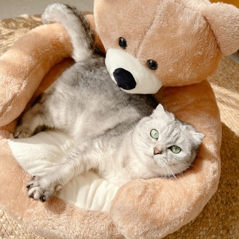 Katzenbett – Abnehmbar & Rutschfest – Gemütlicher Schlafplatz für Ihre Katze 1