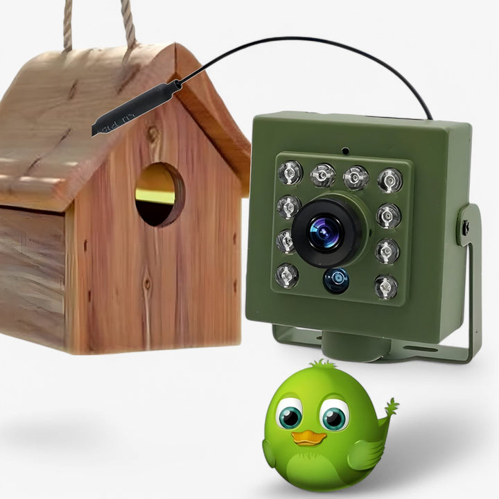 NestCam WLAN-Kamera – 1080p HD & Wetterfest für beeindruckende Vogelbeobachtungen